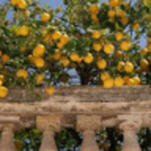 Meet your Posher, Hell yeah